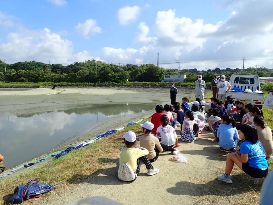 小学生　池 高丘東小学校 かいぼり体験 - ひょうごため池保全県民運動