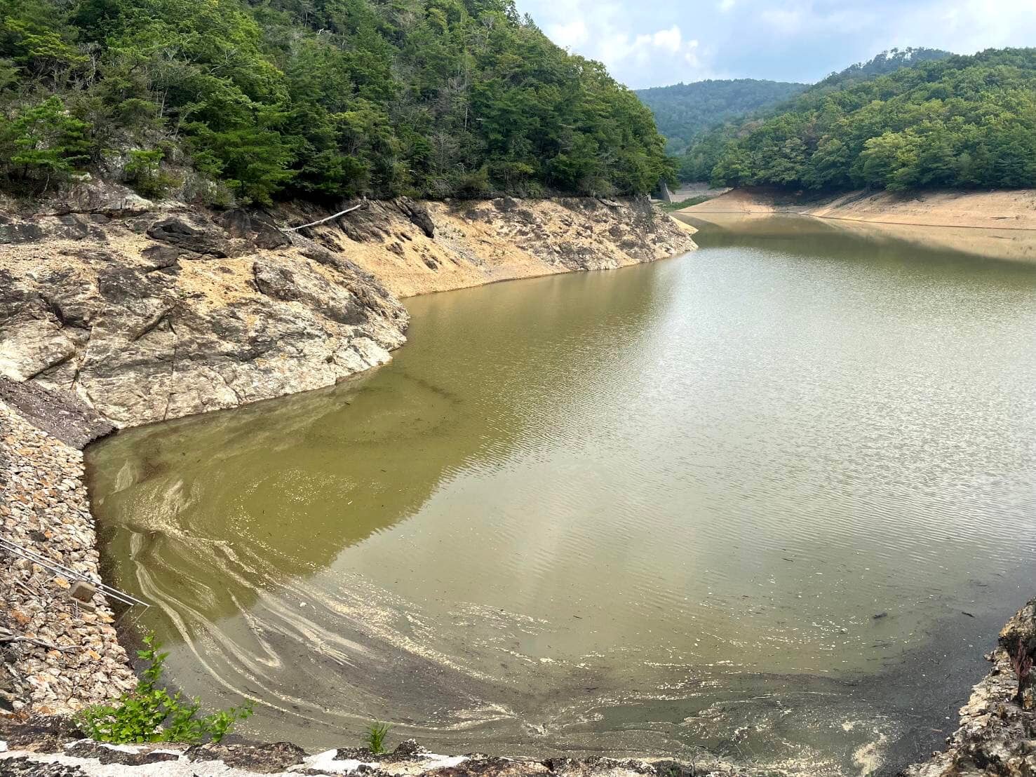 外用 ポリ池 山田ほ場の池（仮称）（長崎県壱岐） - 水辺遍路